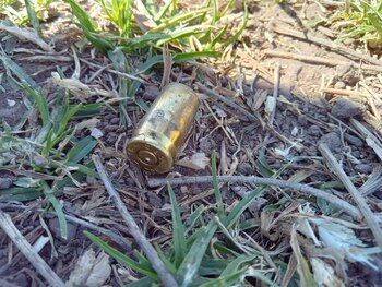 Una de las vainas servidas