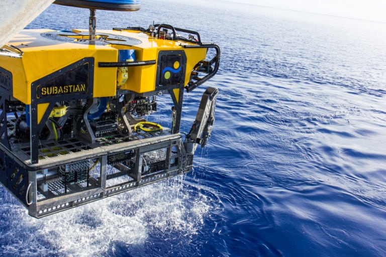 El ROV SuBastian, un robot submarino operado a distancia desde la superficie, grabó en video 4K el fondo del mar argentino a casi 4.000 metros de profundidad./Instituto Oceánico Schmidt