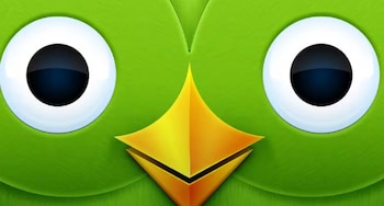 Duolingo cuenta con más de