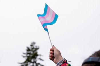 La administración de Nueva York ya sostiene una red de servicios LGBTQ+ con atención de salud mental, apoyo comunitario y atención de afirmación de género (REUTERS/David Ryder).
