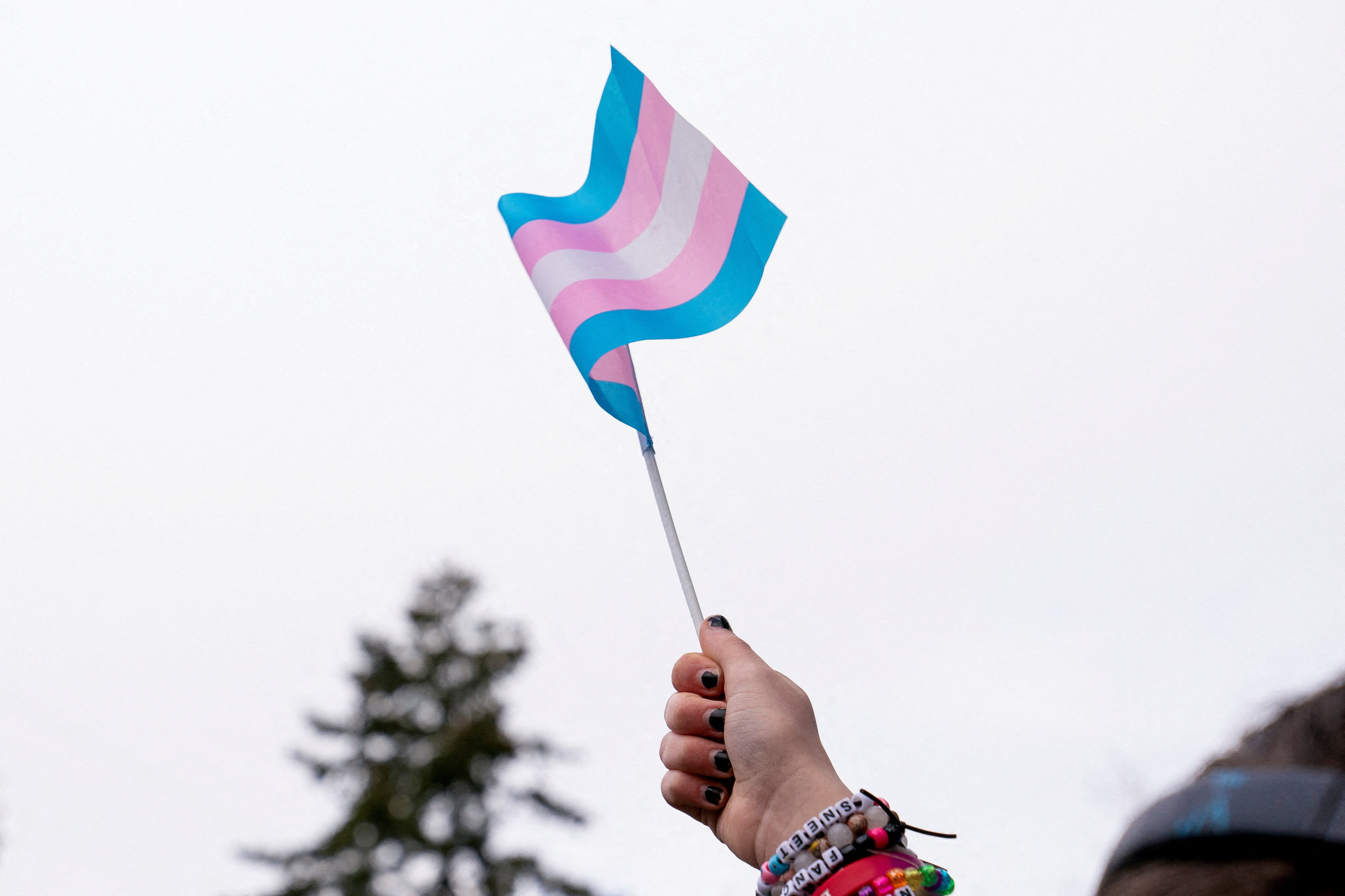La administración de Nueva York ya sostiene una red de servicios LGBTQ+ con atención de salud mental, apoyo comunitario y atención de afirmación de género (REUTERS/David Ryder).