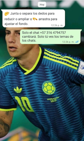 WhatsApp permite cambiar los fondos de los chats individuales y grupales. (Foto: WhatsApp)