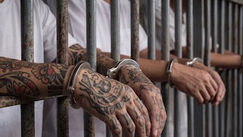 Quince países designaron a la MS-13, el Tren de Aragua y los cárteles mexicanos como amenazas narcoterroristas: la cumbre en Nueva York que activó un nuevo frente regional