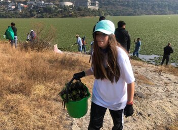 Al ver la pasividad de