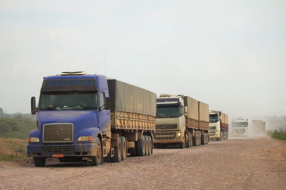 En 10 años, el agro argentino podría exportar más de USD 50.000 millones al año