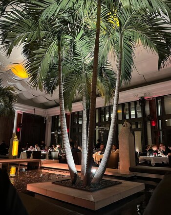 La primera salida de Nicole