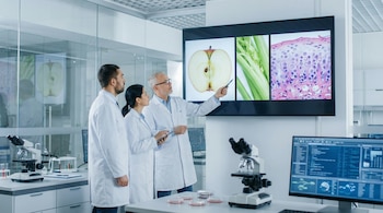 Innovaciones en el cultivo de