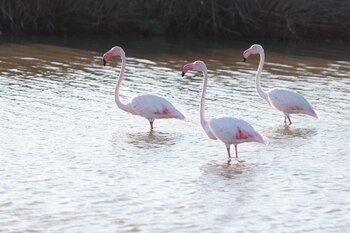 Vistas de la finca "Veta