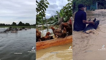 En redes hay varios videos