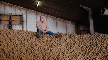 La capital mundial de las papas fritas tiene un problema: demasiadas papas