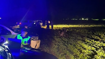 Crimen macabro en Tucumán: encontraron