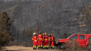 Los incendios en España queman ya una superficie similar a dos veces la ciudad de Madrid: 120.000 hectáreas, el doble que hace dos semanas