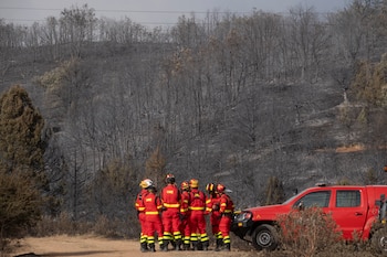 También preocupa en Guadalajara el incendio en Selas. (EFE/Nacho Izquierdo)