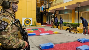 Golpe al narcotráfico en Entre Ríos: incautaron cocaína valuada en más de diez millones de euros y hay tres detenidos