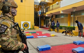 Agentes de seguridad observan bloques de cocaína incautada (azul, amarillo, verde) en una lona roja. Un perro detector trabaja; edificio amarillo al fondo
