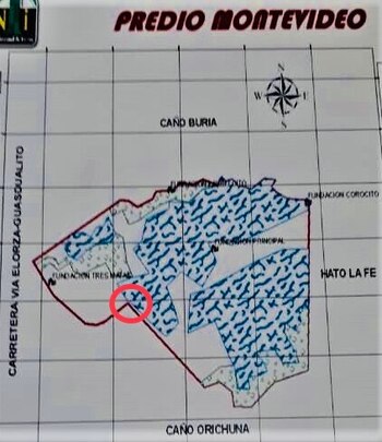 En el círculo en rojo