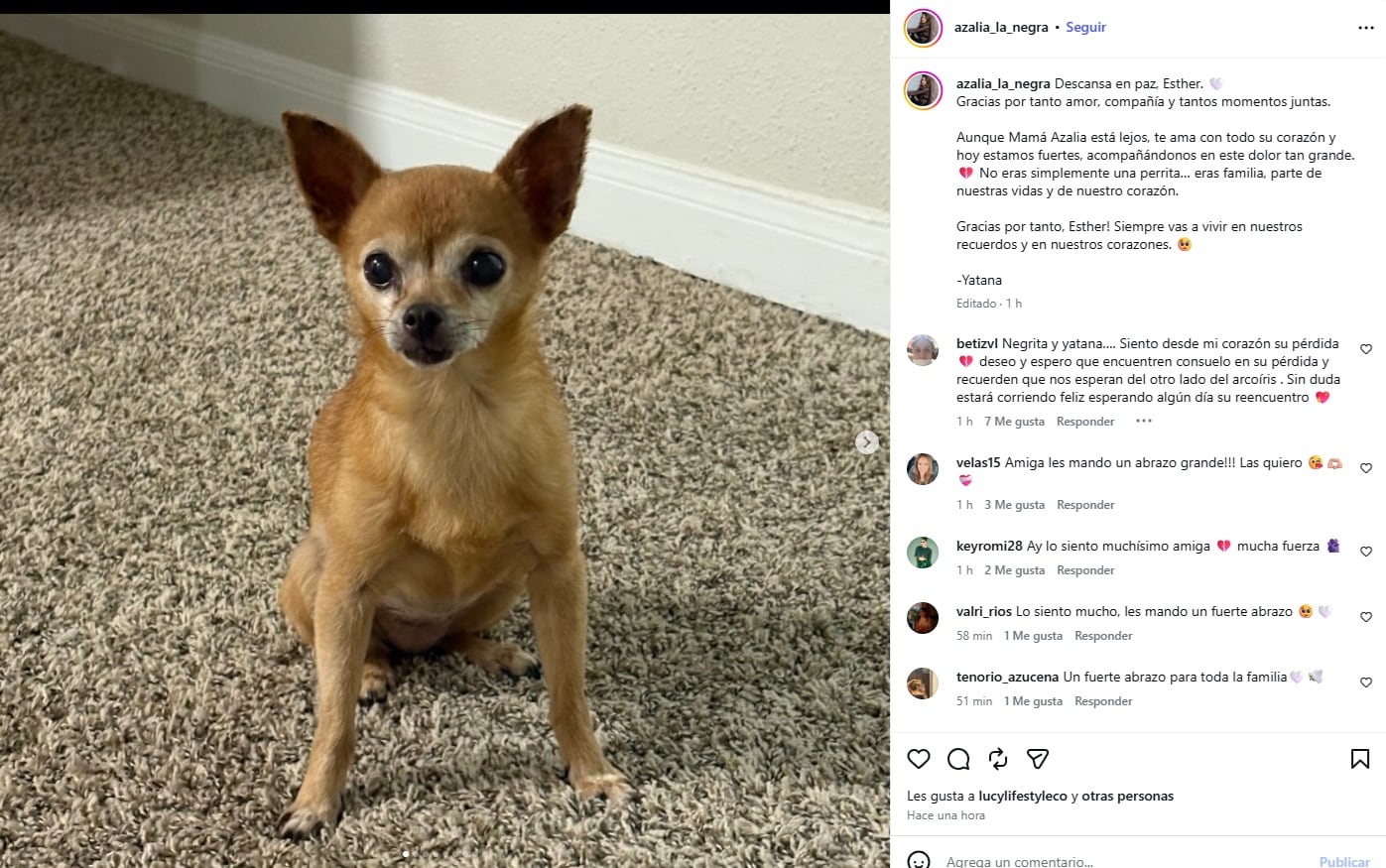 Captura mensaje de Azalia a su perrita Esther (Captura Instagram)