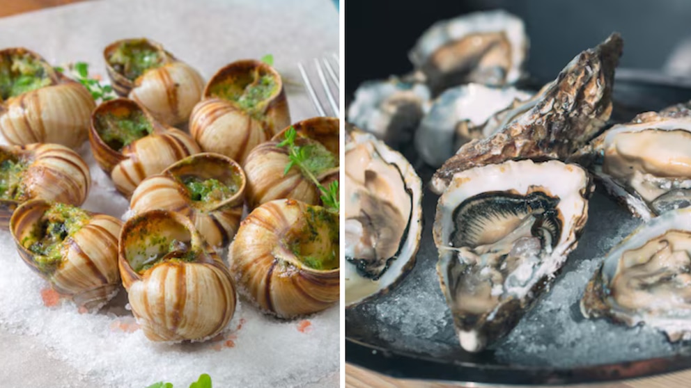 De plaga ambiental a motor productivo: cómo una ostra invasora impulsa empleo y valor agregado en la costa bonaerense