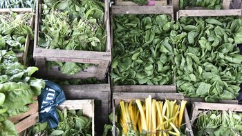 Pirámide nutricional: la importancia de