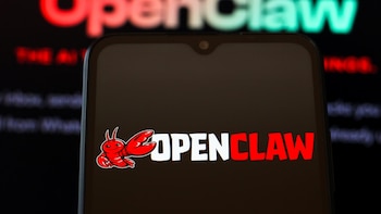 OpenClaw sufre por primera vez