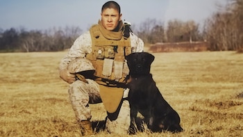 El sargento Fieldy formó parte del Cuerpo de Marines de Estados Unidos y se encargaba de detectar explosivos. (Facebook/Nick Caceres)
Héroes de Guerra, perros, razas de perros, labradores, K9, militares, marinos, Estados Unidos, Mascotas, noticias de mascotas, animales