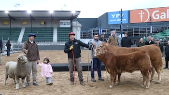 Llegaron “Tini Tini”, “De Paul” y “Tim Payne” a La Rural: empezó el ingreso de animales a la Expo de Palermo