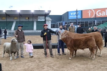 Varios hombres con indumentaria rural, una niña pequeña, una oveja lanuda y dos toros de pelaje marrón en una pista de tierra