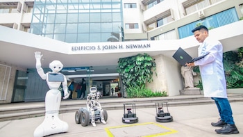 El desarrollo forma parte de