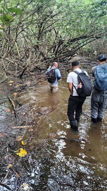 El cierre responde también al