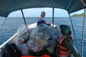 Esfuerzos conjuntos permitirían ampliar el conocimiento disponible y fortalecer las estrategias de protección de las especies marinas. (MiAmbiente)
