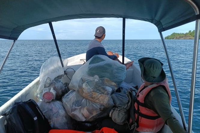 Esfuerzos conjuntos permitirían ampliar el conocimiento disponible y fortalecer las estrategias de protección de las especies marinas. (MiAmbiente)