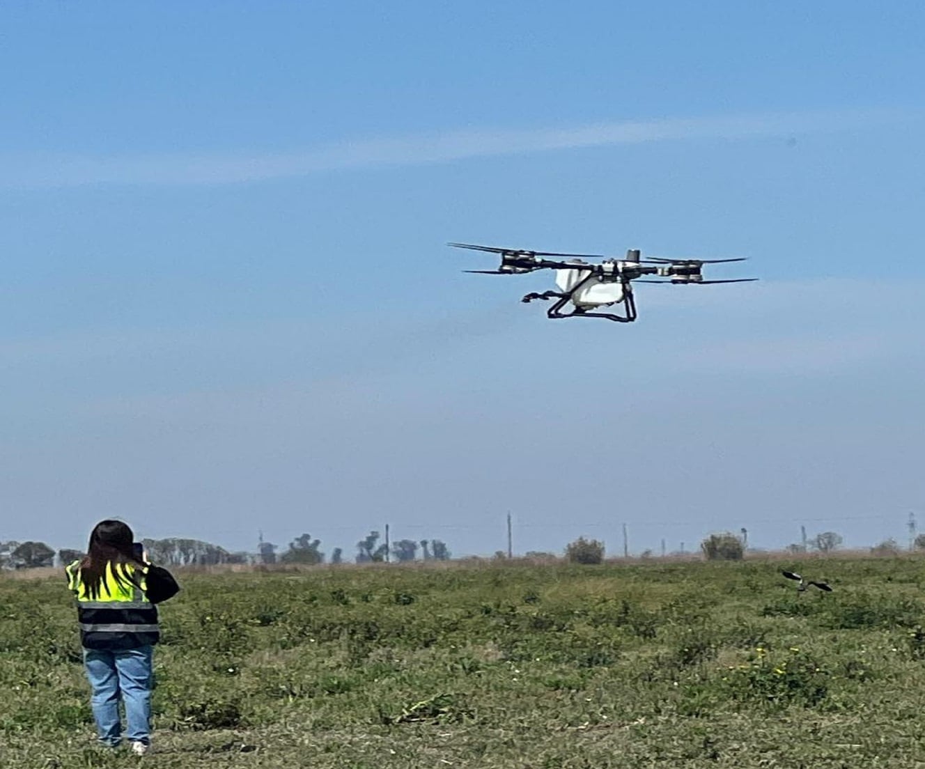 Del ensayo realizado a campo participaron un avión, drones (uno de ellos se ve trabajando en la imagen), una pulverizadora y un equipo terrestre (FEARCA)