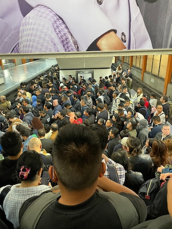 Avance en tiempo real de las diversas líneas de la red de transporte público capitalino.
