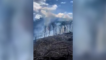 Incendio en Tierra del Fuego: