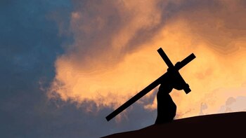 10 interessante Fakten über die