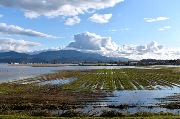 El agua cubrió todas las