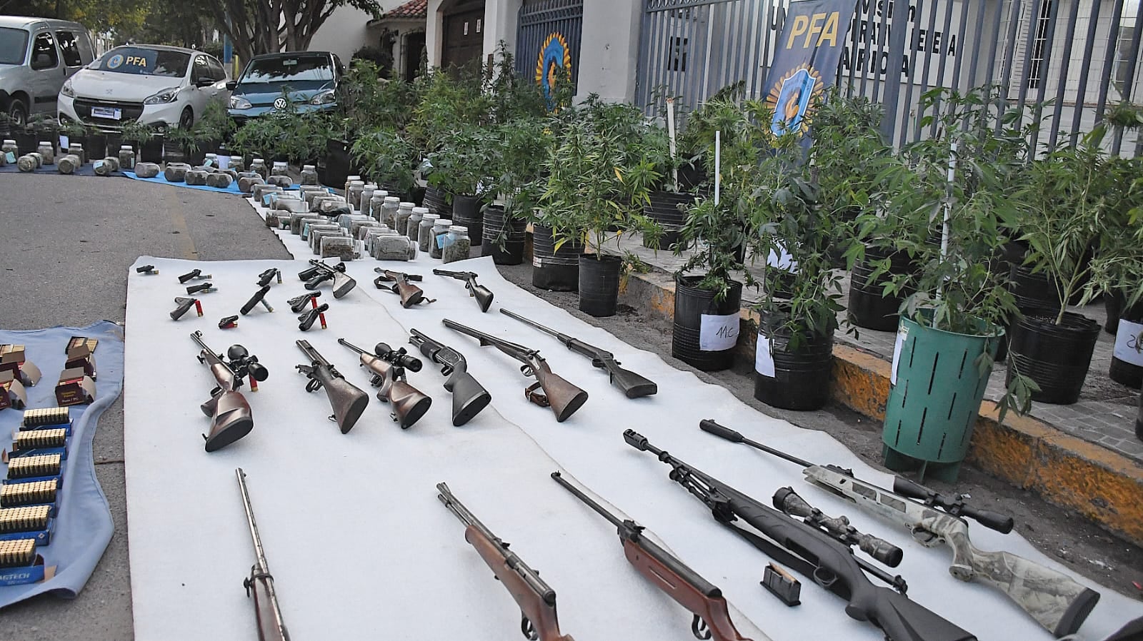 Las armas incautadas a la organización