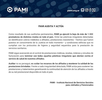 Documento digital con el logo de PAMI en azul y texto que detalla las auditorías de PAMI, incluyendo la baja de prestadores y sus motivos