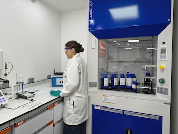 Las mujeres asumen roles clave