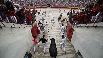 Toros de La Palmosilla darán
