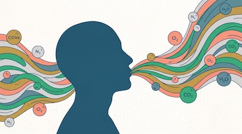 Silueta de cabeza humana de perfil, exhalando e inhalando flujos de aire con burbujas de N2, O2, CO2, H2O y COVs.