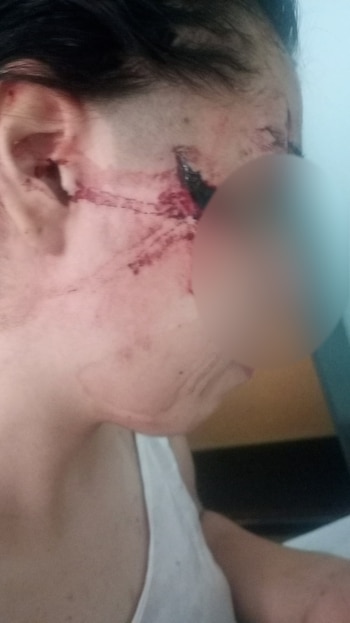 La madre de Delfina denunció