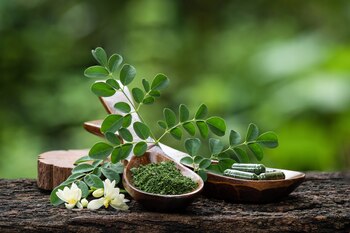 Planta de moringa. (Shutterstock)