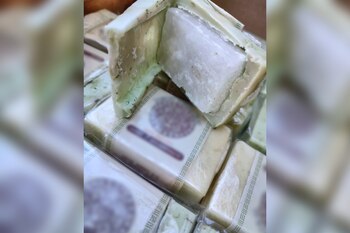 Se encontraron cerca de 60