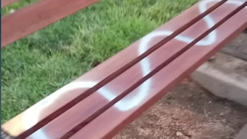 Vecinos señalan que sería una mujer adulta mayor que actuó sola. Captura de video
