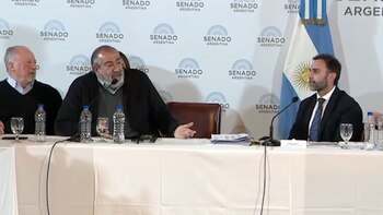 Ley Bases en el Senado: