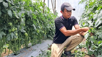 El Gobierno de Honduras invirtió más de 20.2 millones de lempiras para fortalecer la productividad agrícola frente a los desafíos del cambio climático.