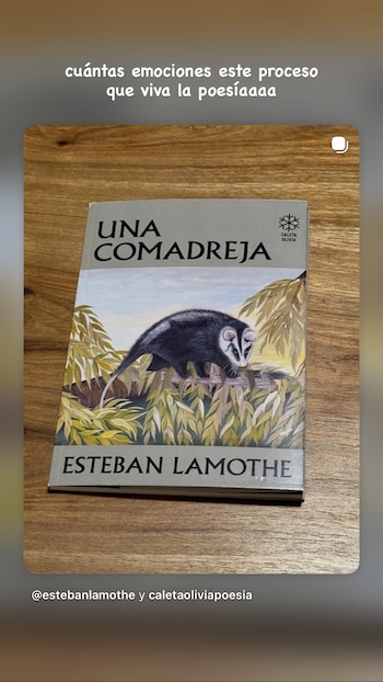 La publicación de Débora Nishimoto,