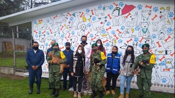 Crearon un refugio para los