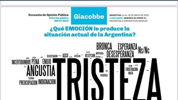 Tristeza, angustia y bronca: las